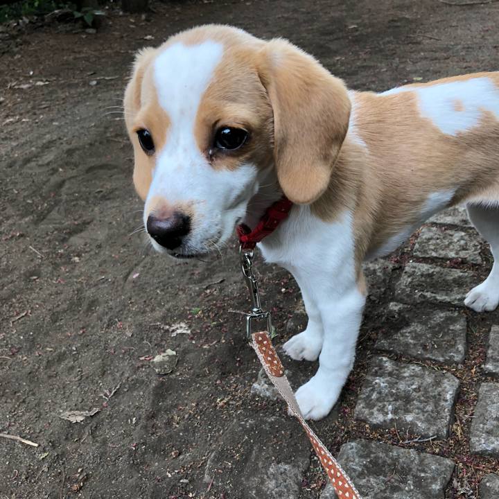 6e7bfcf2 bf3e 4f6e 9974 b8a0978c6cd5 1604461488220