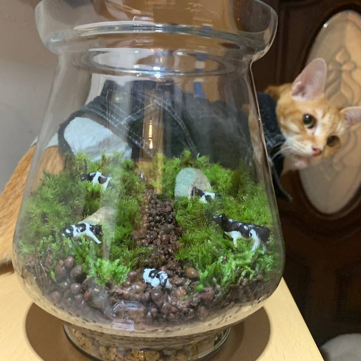 6e7c23f4 cfb6 4862 bb07 ae1bb9a5f8a2 1654002060860