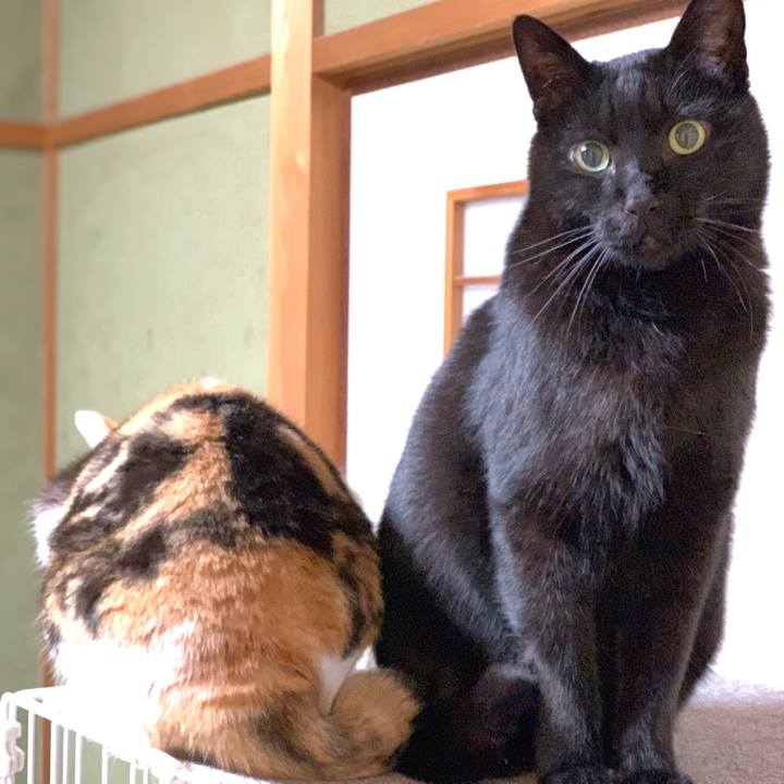 6e7c25a6 a145 44be 9f18 9918879bd9aa 1549765690639