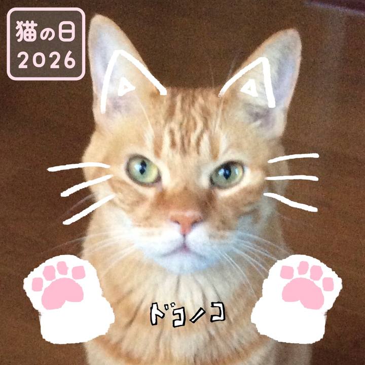 6e7c6f5d d067 4871 b3dd f7e5bc2dc417 1771727185156