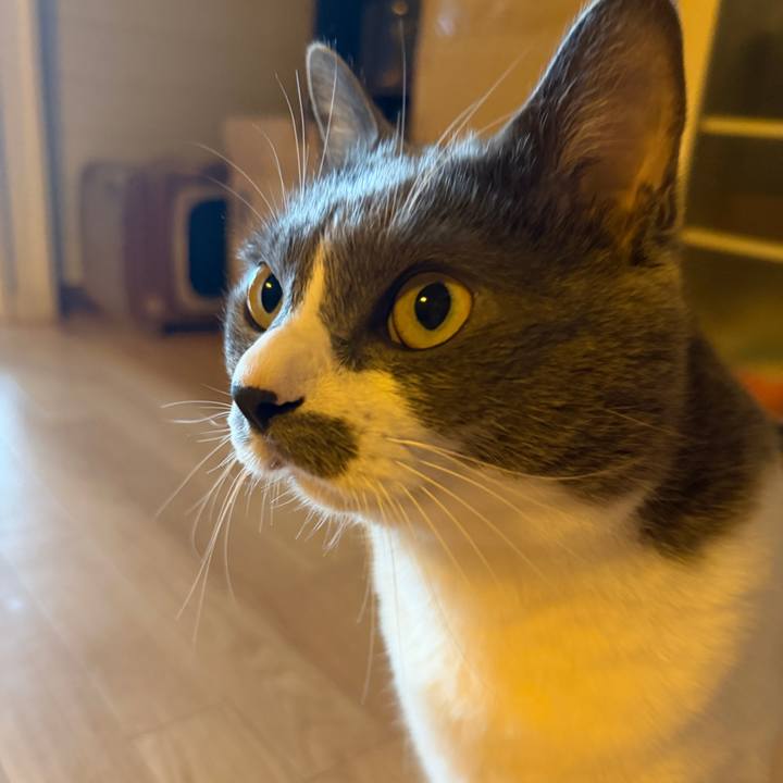 6e7c73c2 3457 4f90 a420 8d34bdb94f70 1761002895277