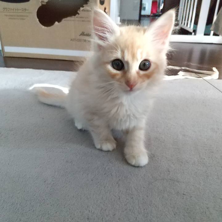 6e7c7f89 8177 4262 b66f f66a0b7f6f52 1603235552368