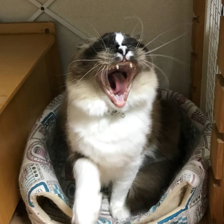 6e7c96da ebde 4f13 bafc f7edf2633ef7 1513392493199