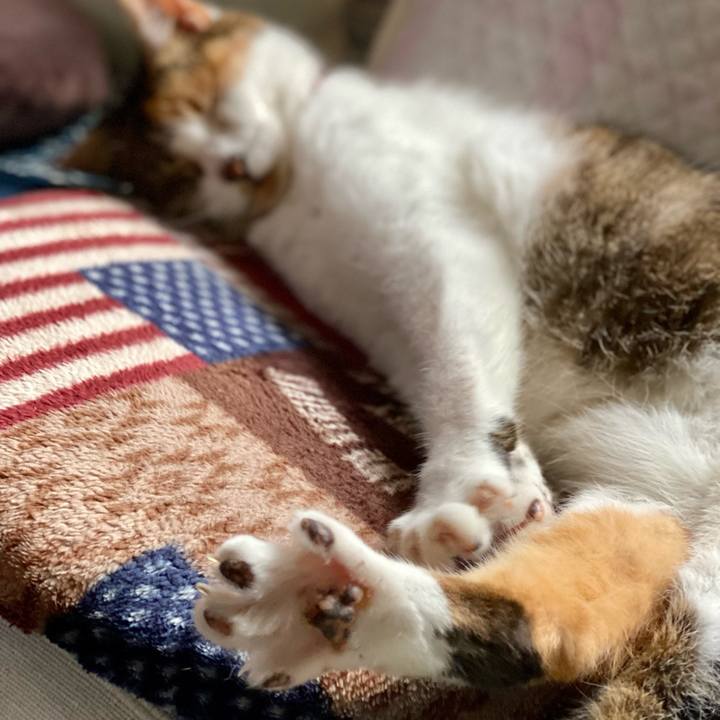 6e7cb81f 8537 4ba0 ab24 6dece41f8db1 1624683046137