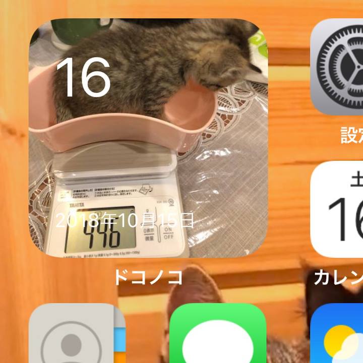 6e7cd846 2d4f 4bc9 aff1 0e79dafd2de6 1634361220289