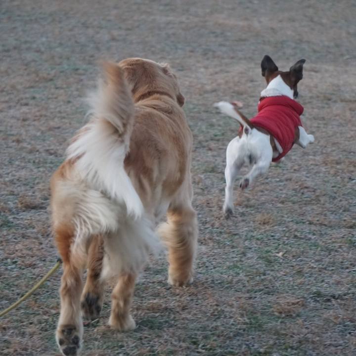 6e7cec62 2e4f 4525 8044 0bbee2741187 1608505139767