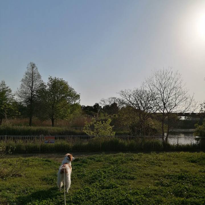 6e7d05f8 2bd7 44cc 834b 2de931d0db64 1618832214982