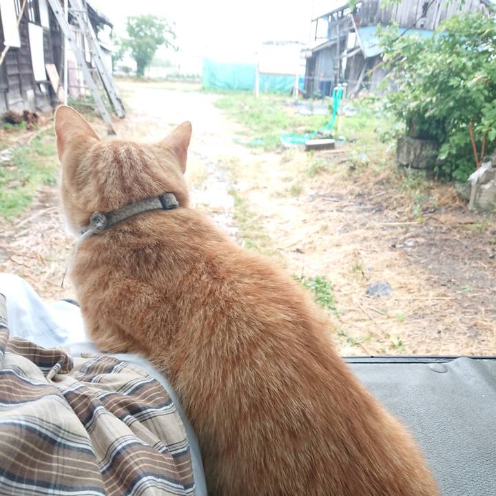 6e7d207c 769f 4e41 ba60 cd91eaf7ade2 1592122097195