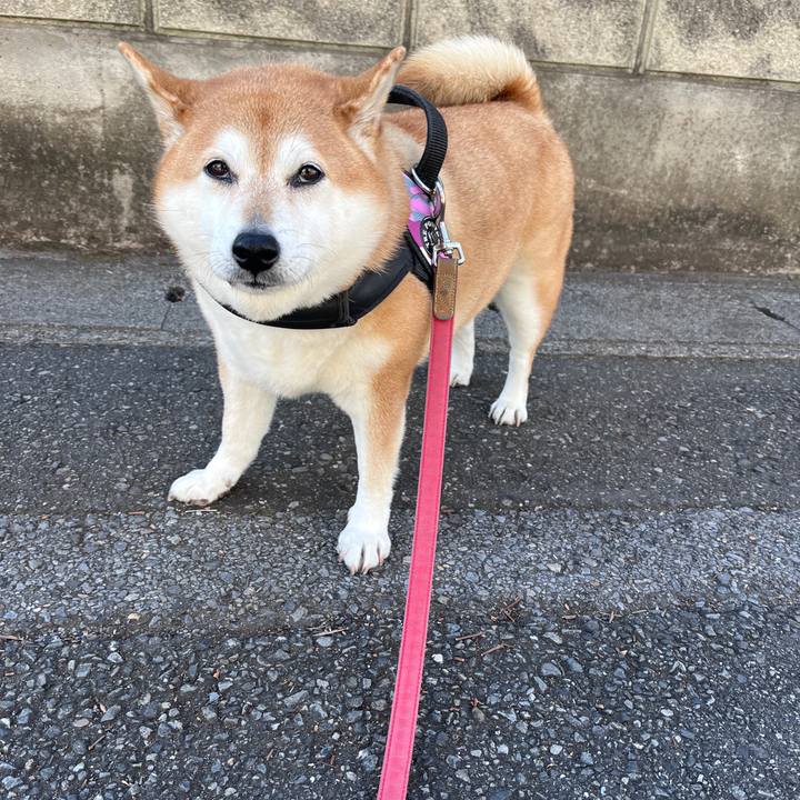 6e7d245f 4d94 44fe 8df3 72eb81b6f083 1702178340215