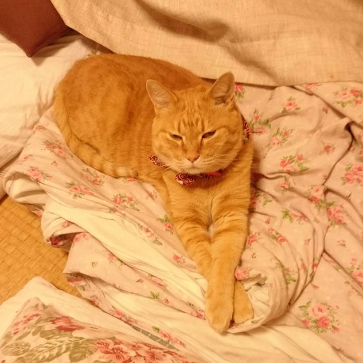 6e7d3e61 c782 47d1 ab56 cfc985e4a4ee 1528100838745