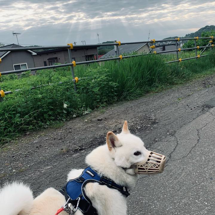 6e7d742e 26b1 431a b943 0d10945aea9b 1622668580048