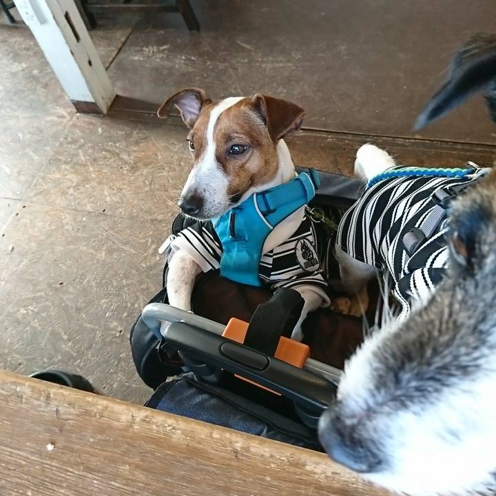 6e7d8be9 8d24 496e a47e 400355c56ffe 1580384673771