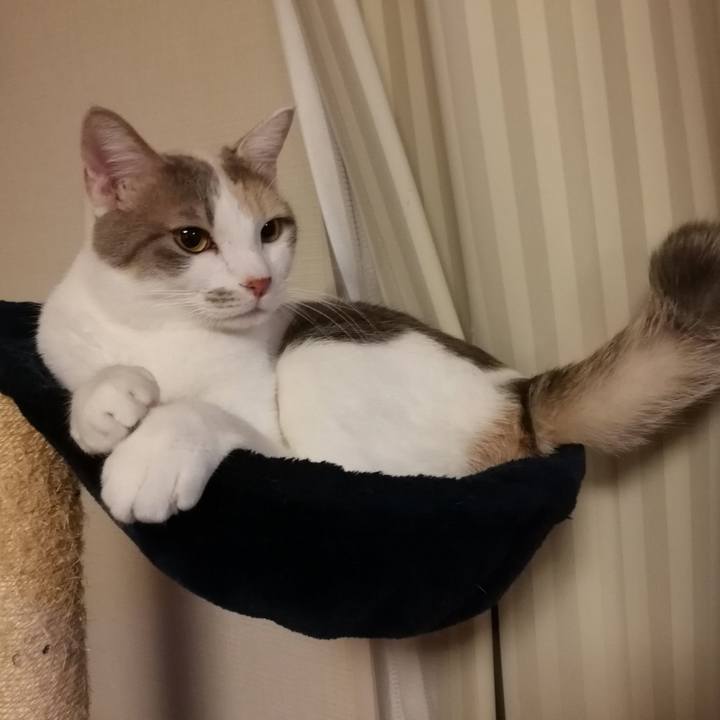 6e7d9746 c6aa 4666 bb00 afcfd68cf021 1515899686460