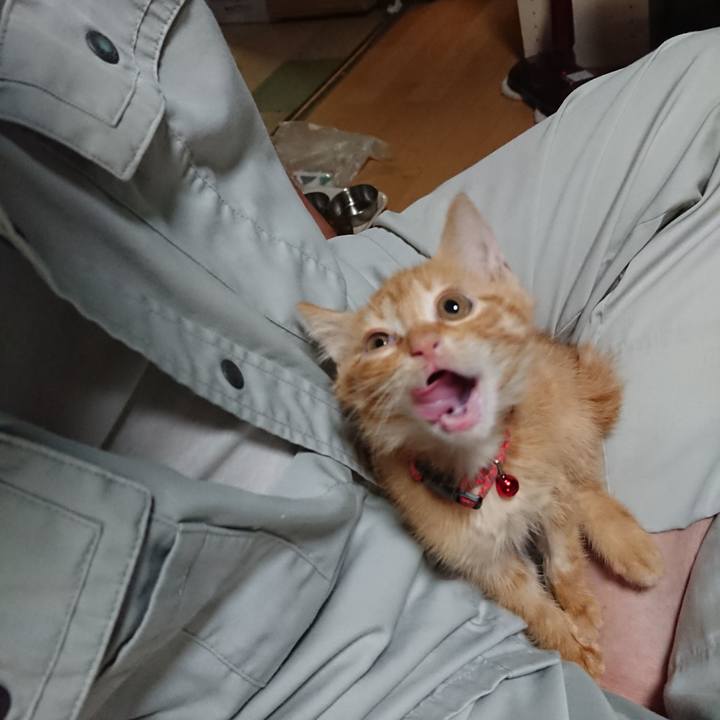 6e7d98b1 bb64 43e7 925b 463828c79167 1629021899548