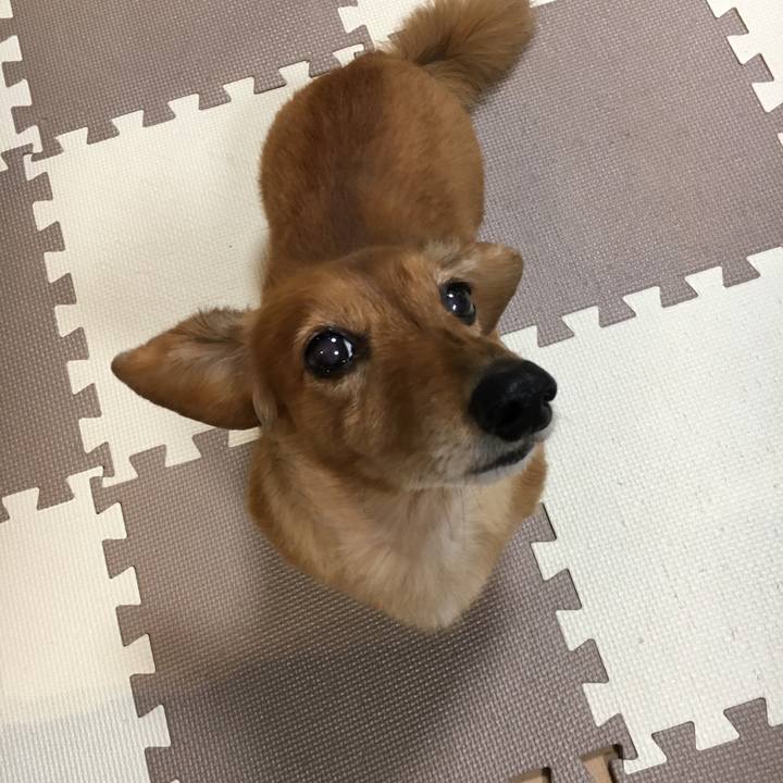 6e7da263 d5ae 4f37 831a 9e4af2c8a09d 1579008269627