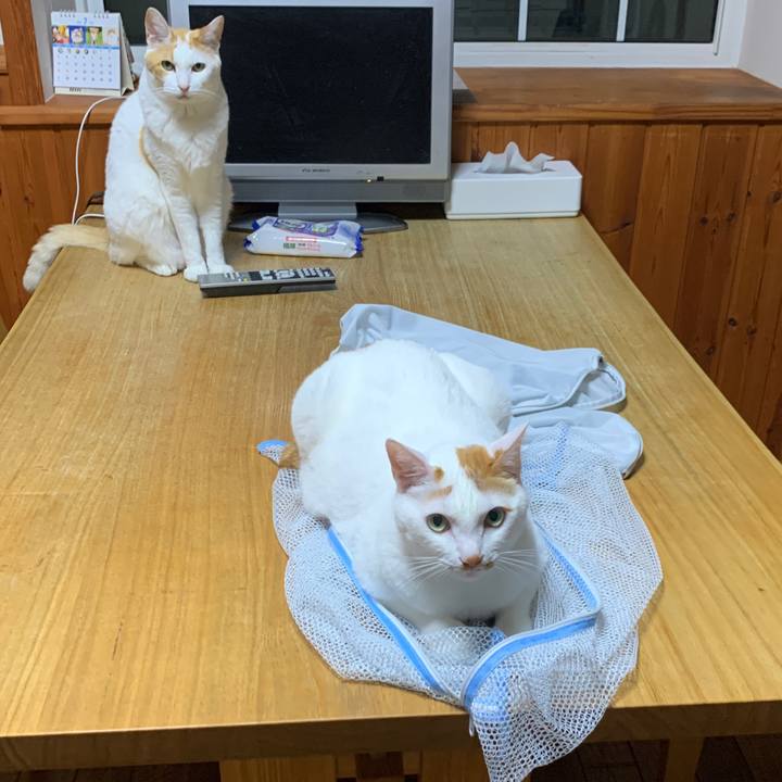 6e7db3c7 d43d 4f16 ba99 7225ffebe92a 1657195975613