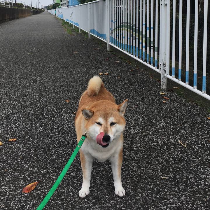 6e7db40a 0931 468f be88 ea662483cecc 1603769838645