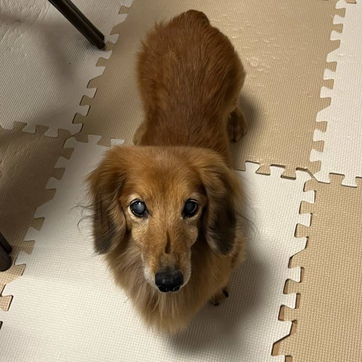 6e7de3c5 e559 4730 88e0 10d26e8c58ce 1673878234140