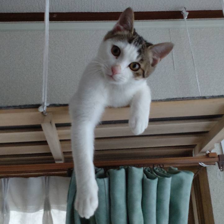 6e7dfe0c d4ef 4ef5 b75b fd66a066edc4 1640848473054