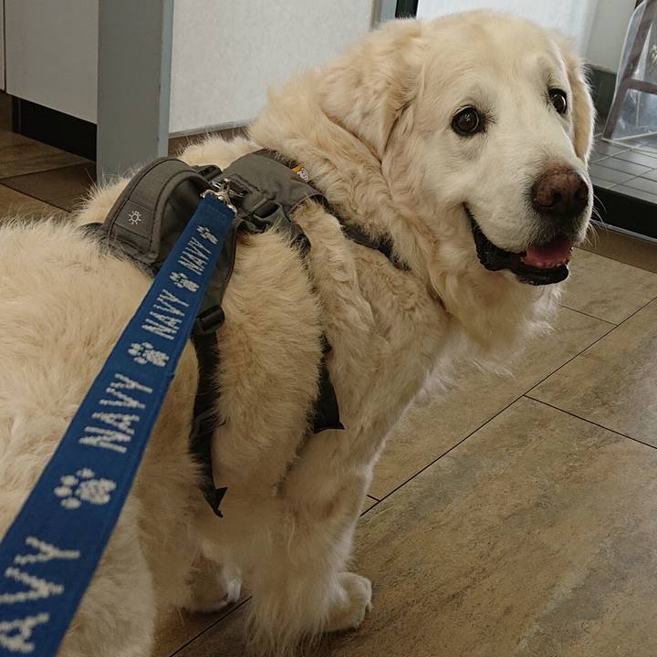 6e7e047a 7fbb 4b70 adbf 49a4d868d95a 1583820871055