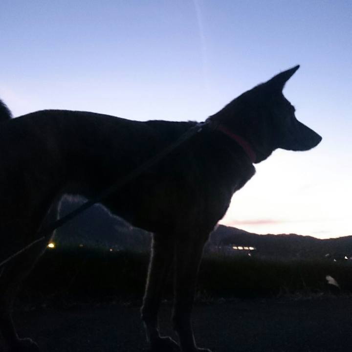 6e7e0c2d 40bd 4d69 8004 db01a1f50355 1511600033105