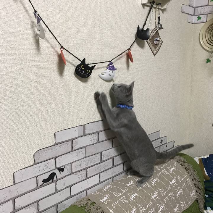 6e7e0f62 7874 4bb2 aa5c 977b62498dc7 1507962130430