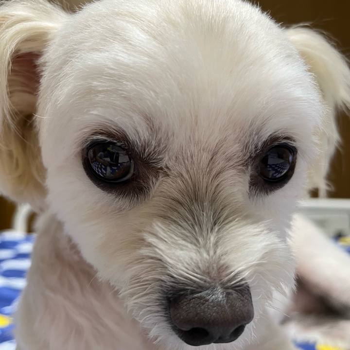 6e7e13a8 5df8 4949 8d09 14b838d3d0e2 1662207705410