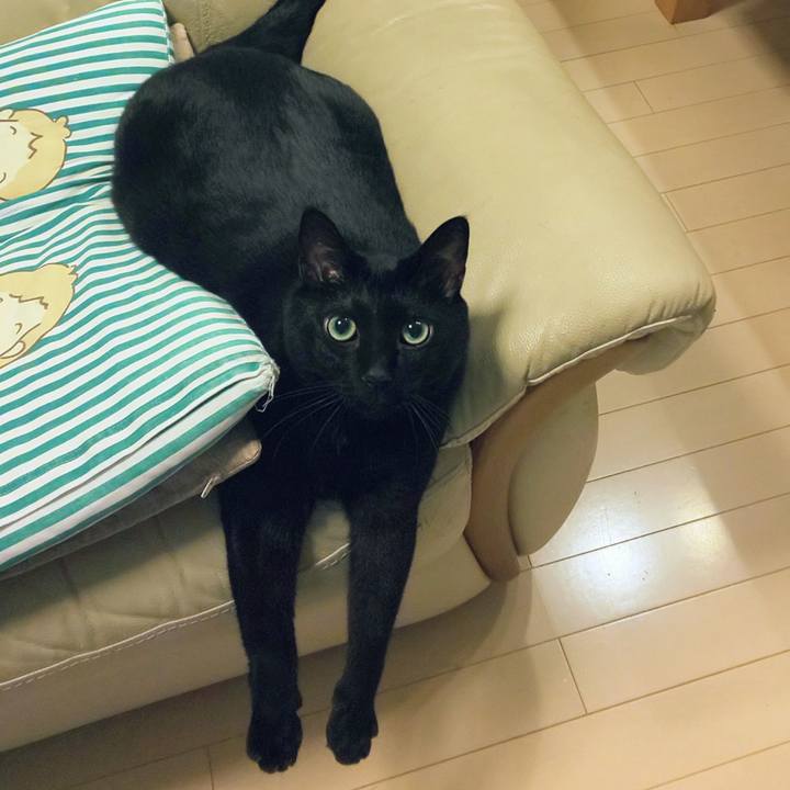 6e7e3705 9860 45b3 90e4 fb8259955891 1760617711614