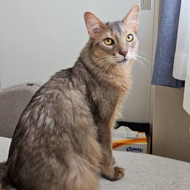 6e7e5012 7404 4c25 864b 2b4650216ecf 1717212485623