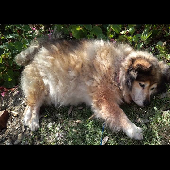 6e7e96a1 bf83 4cc5 80f8 15458eceb3eb 1607949580620