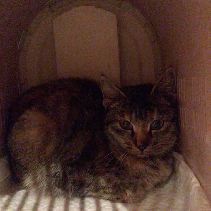 6e7e9795 7c8f 43c4 8df6 d2f74276f37d 1516016183879