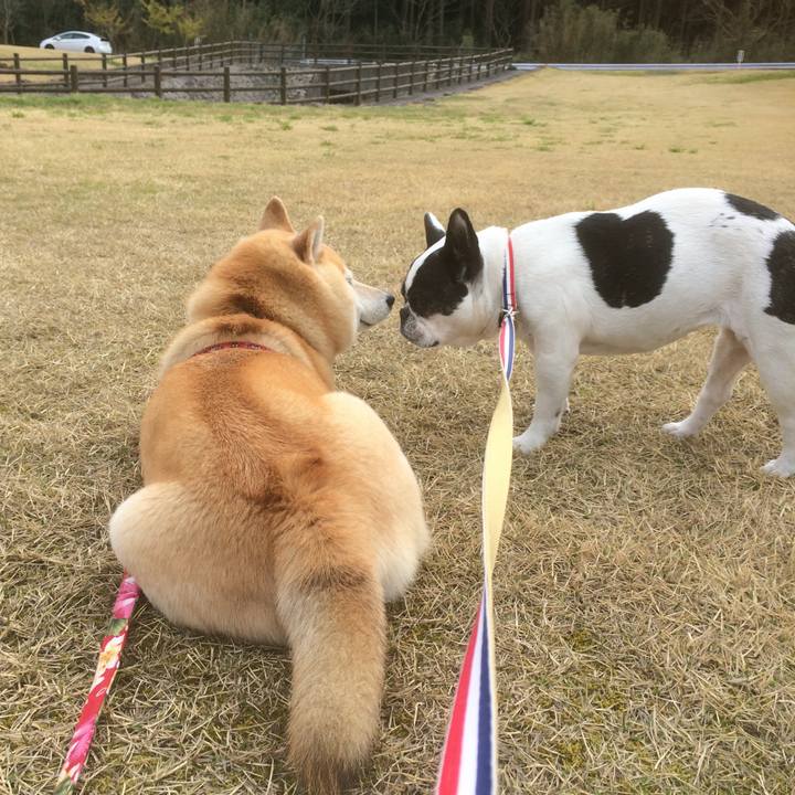 6e7eb687 9927 44bb b0c7 50e016cdec6b 1550420448417