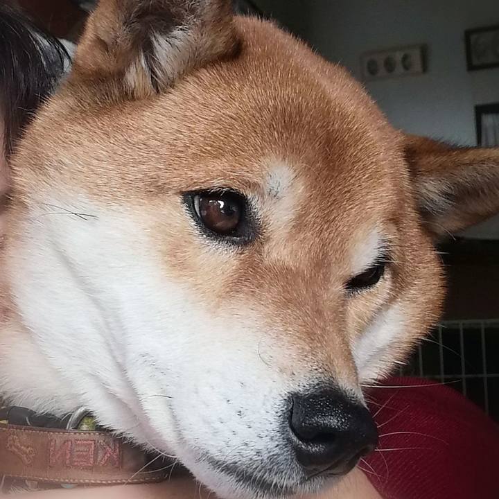 6e7ec6df a663 4c23 a146 78a51d07a4f3 1609665892314