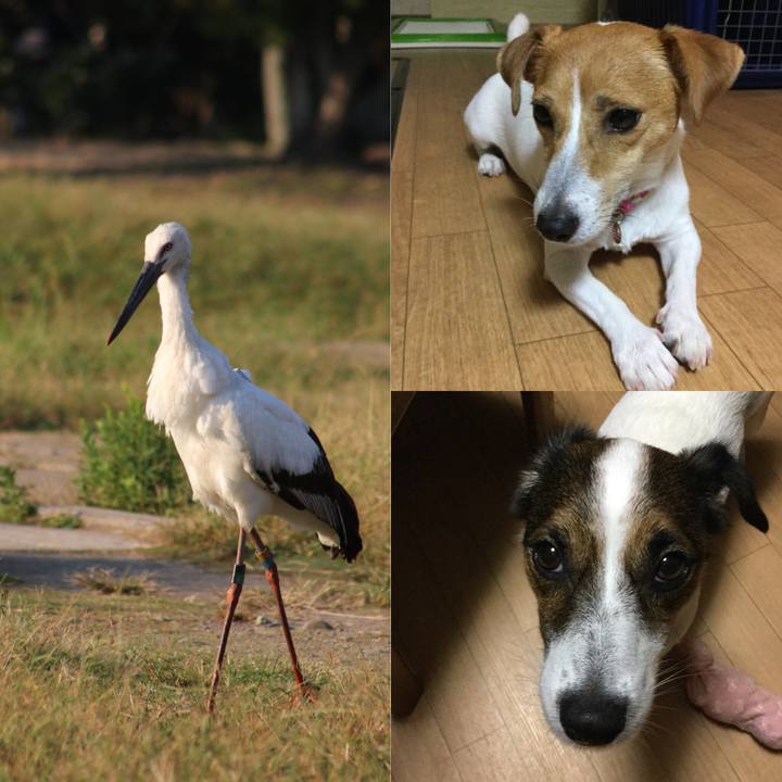 6e7f3d73 0cf8 439e b282 d6ae8661f24b 1539165787306