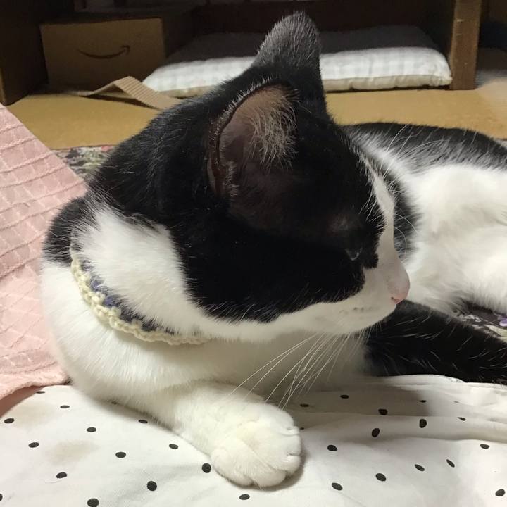 6e7f4a5f 5f26 4598 9aa8 2ae80132e2e2 1653816819959