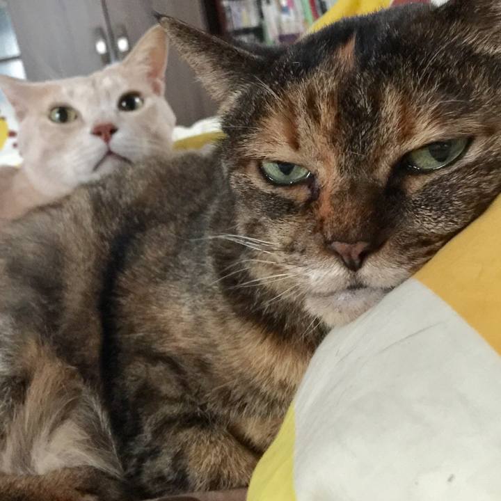 6e7f8282 ba82 4e35 a209 0ddf8e0d3611 1620704636859