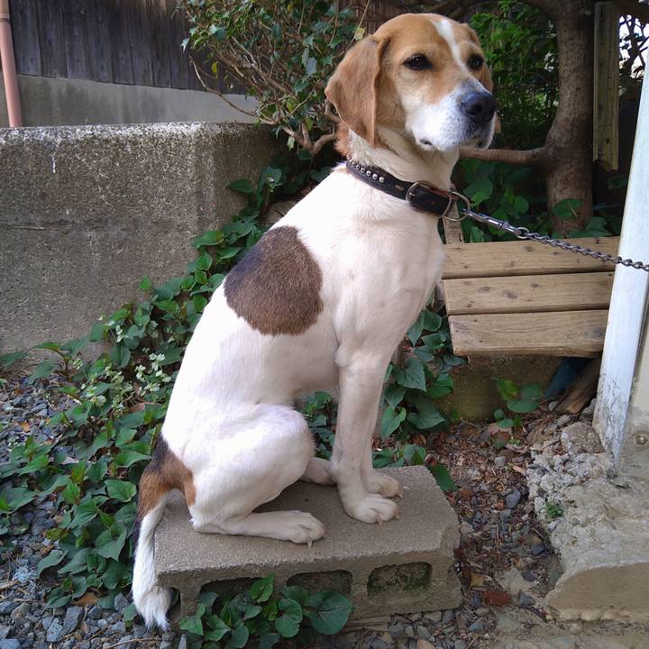 6e7f90bc 12ba 4a31 b5be bef18c7c1606 1659881769494