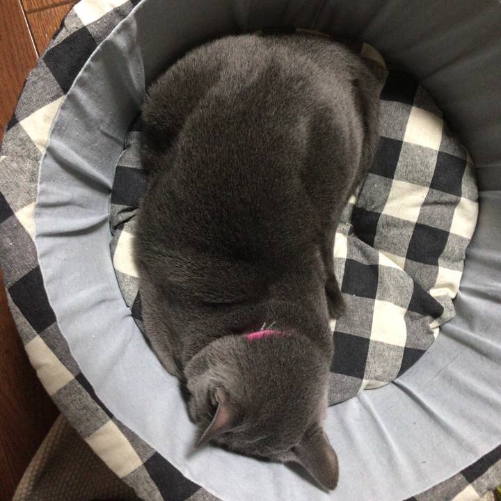 6e7fb109 5752 49d8 b77a 289869f70827 1537951561296