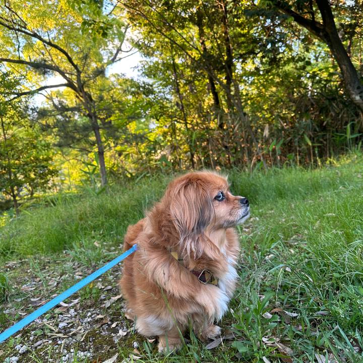 6e7fbf42 60c2 4d95 aa33 a446837698d4 1683838696130