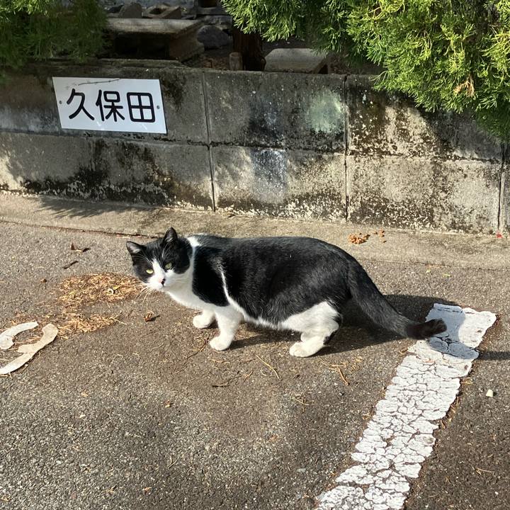 6e800442 b924 411b 9d1c 45bb68267682 1774298672234