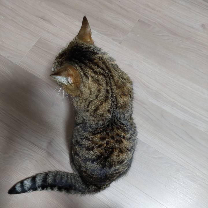 6e80064a bece 4e77 b5bd b35c95378938 1641591527485