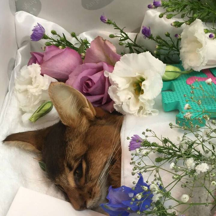 6e800d24 bf7b 4ea2 88f8 5693c878ff6a 1569419475471