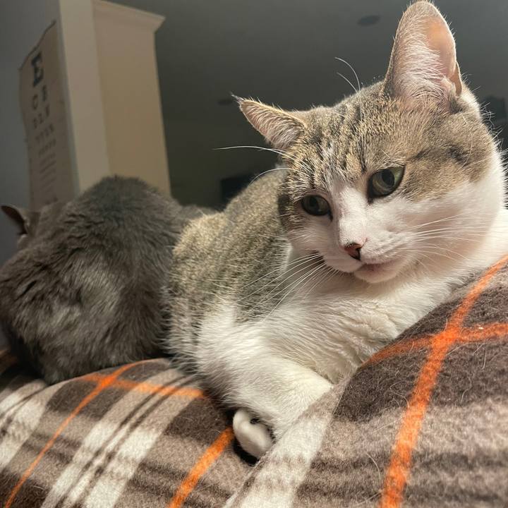 6e802787 2169 4da3 bc2b 38fb42b11619 1723425579259