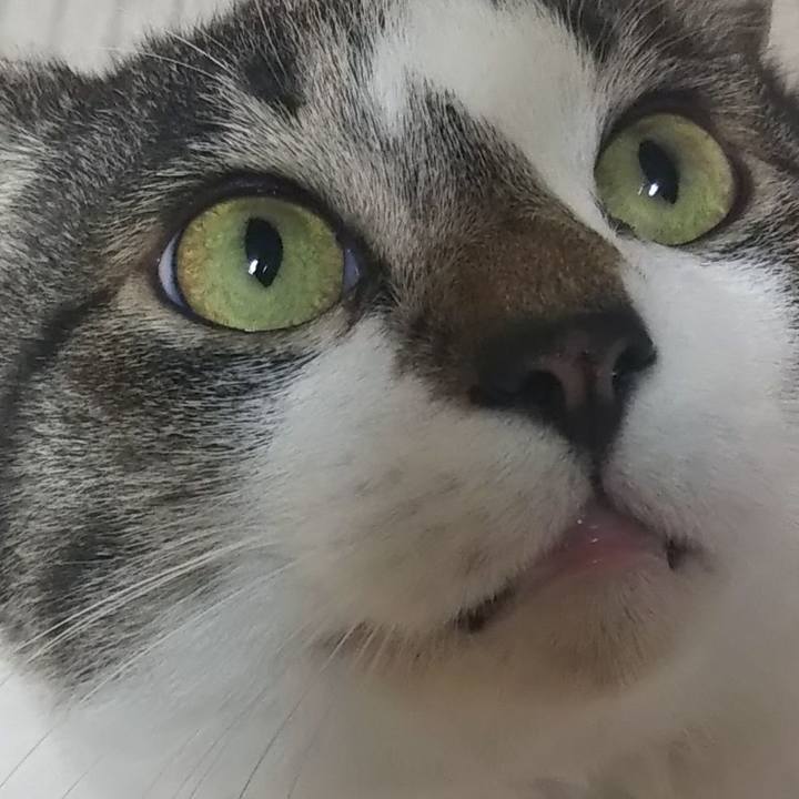 6e8035de 34cf 47d6 a3f5 58cb9f4be174 1612275645765