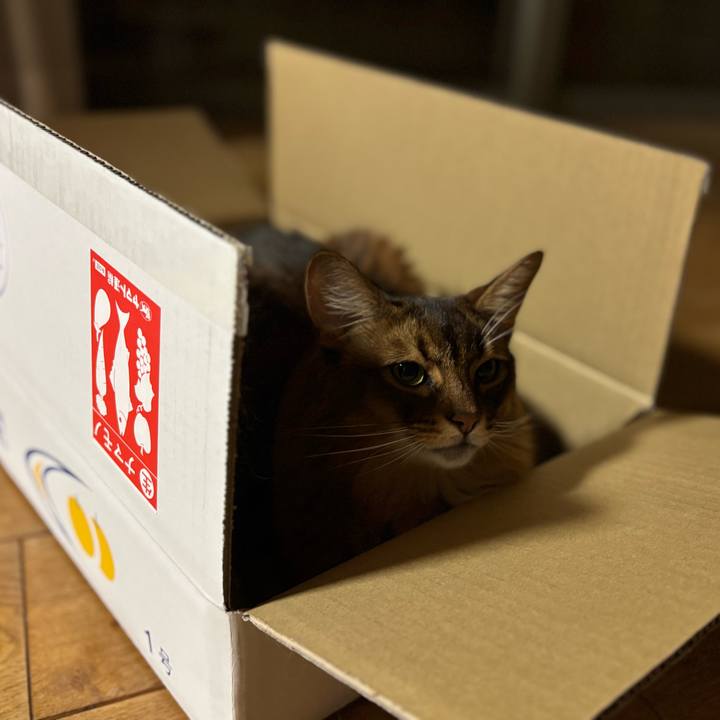 6e80406e 4626 49d1 9dab 91cc6657bb82 1755158429429