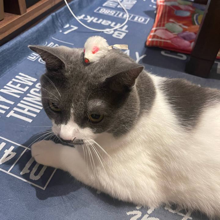 6e8043b5 2466 4bb7 9a15 4400eaaeaa8e 1692969096955