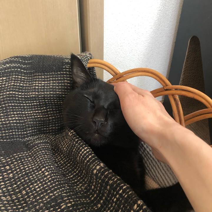 6e80453c 4b74 4400 812b cf6fa781c45a 1639148909486