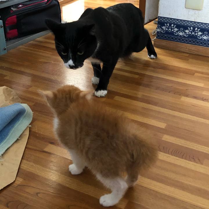 6e806379 ccf2 45ac b77b 5ea46dd5ffaa 1573371362523