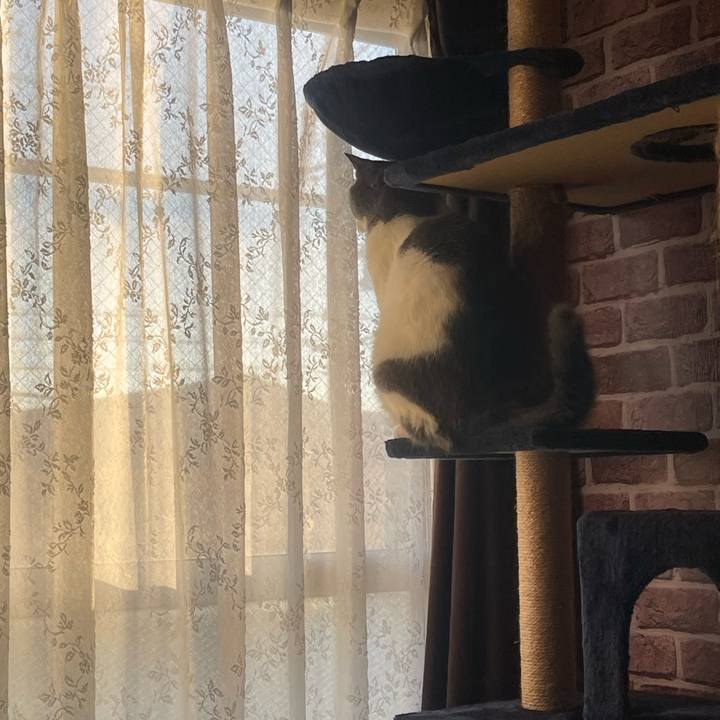 6e80a311 ac1f 47a7 9955 910afed8602c 1737185140854