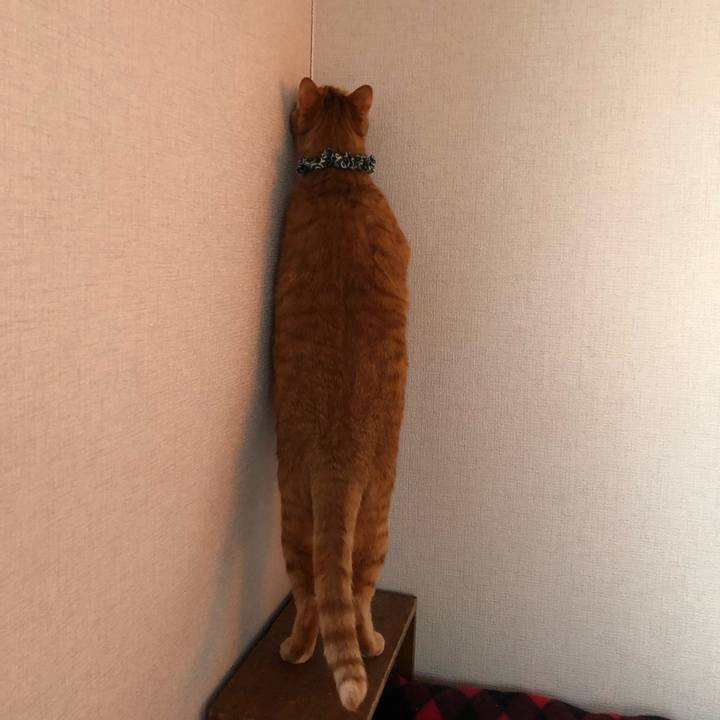 6e811ef8 f5c3 4c6d 8a23 8a25147e5b5a 1556680830254